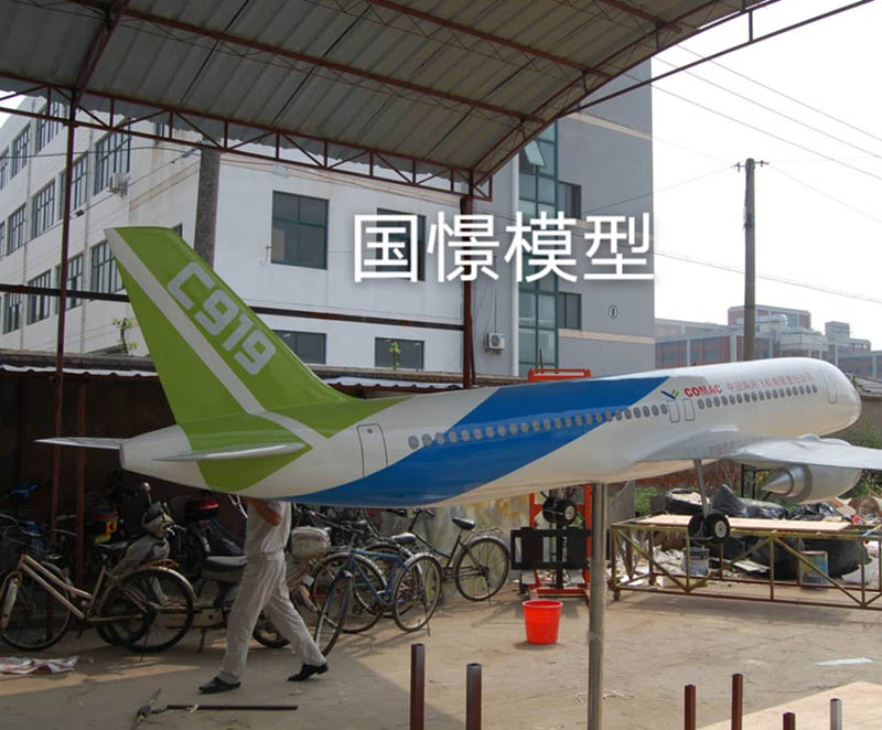 临泽县飞机模型