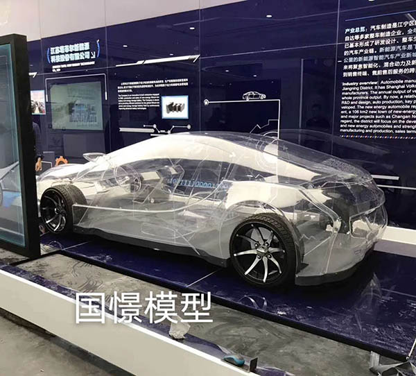 临泽县透明车模型